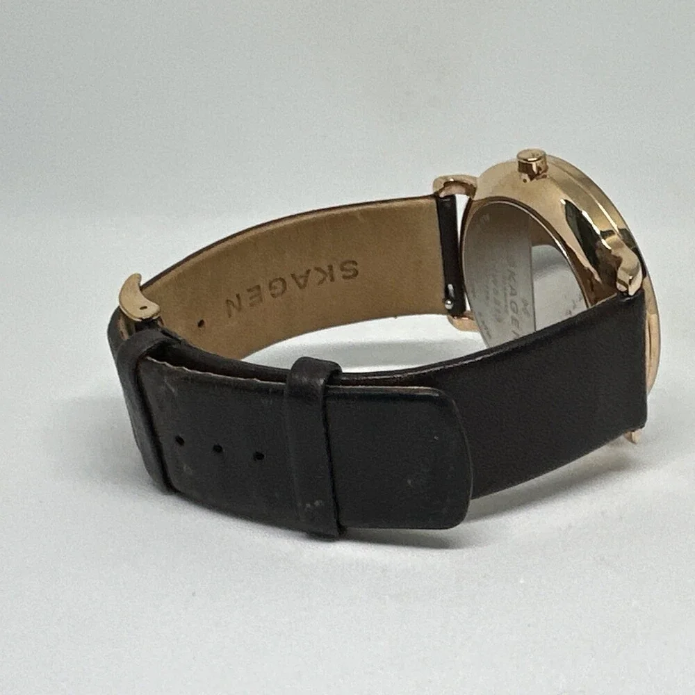 Skagen skw6313 men
